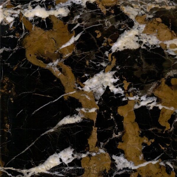 Black & Gold